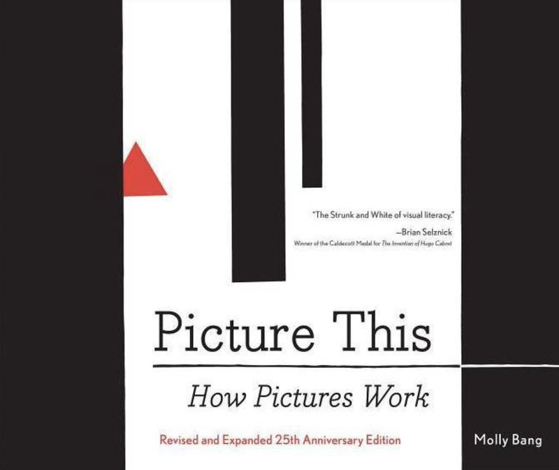 Book: PICTURE THIS: HOW PICTURES WORK